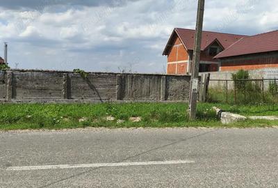 Teren în Tășad - 3