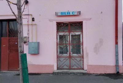 Casă cu 4 camere în Traian - 2