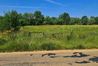 Teren de vanzare in comuna Domne?ti, jude? Arge?. - 7
