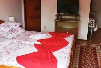 Casă cu 6 camere cu Canalizare în Exterior Vest - 3