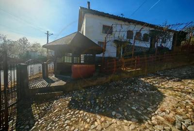 Casă cu 3 camere cu Teren 3233 Mp în Valea Rizii - 9
