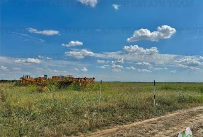 Teren de 544 mp, în Frumușani