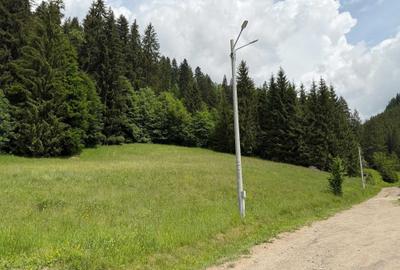 Spațiu comercial, în Vale - 5