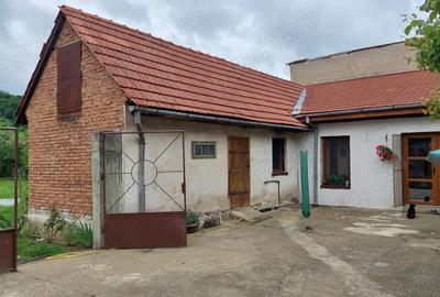 Casă cu Teren 1300 Mp în Gladna Română - 7