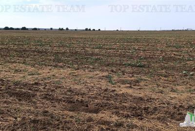 Oferim spre vanzare 6 loturi de teren extravilan (agricol) in Petrachioaia ILFOV - 16