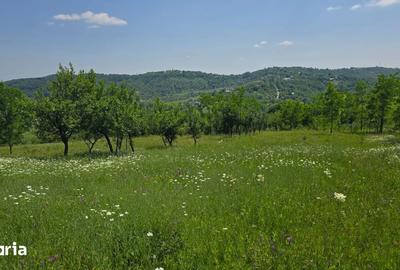Teren de 6352 mp, în Păcureți - 4