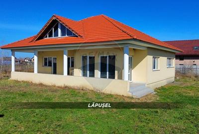 Casă cu 4 camere cu Teren 715 Mp în Lăpușel - 1