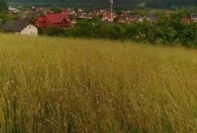 Teren Construcții intravilan de 1400 mp, în Periferie - 2