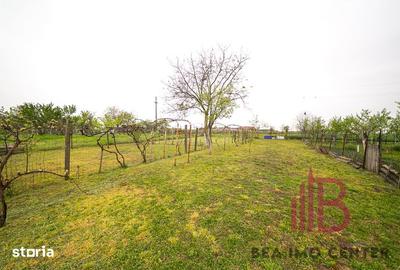 Casă cu 5 camere cu Teren 1128 Mp în Zimandu Nou - 1