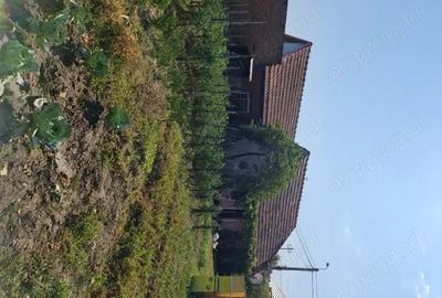 Casă cu 2 camere cu Teren 334 Mp în Vinerea - 2