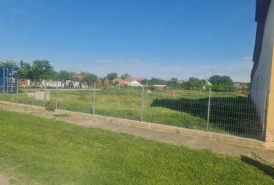 Teren de 3084 mp, în Pustiniș - 1