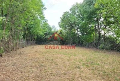 Casă cu Teren 2093 Mp în Bănești - 11