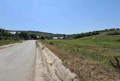 Teren de 2340 mp, în Miroslava - 5