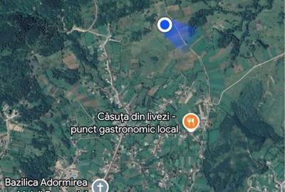 Spațiu comercial, în Cacica - 5