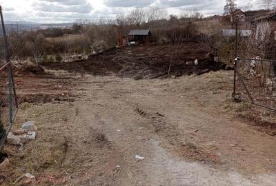 Teren Dambul Rotund - 8