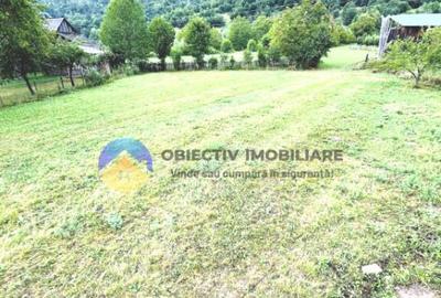 TEREN intravilan comuna TARCAU - STRAJA - 3