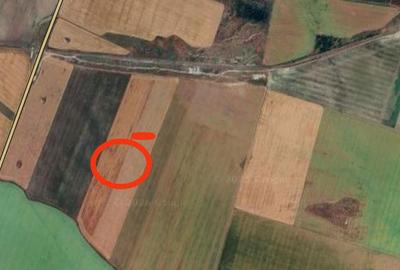 Teren de 88000 mp, în Mihai Viteazu - 2