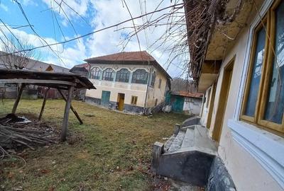 Casă cu 2 camere cu Teren 3000 Mp în Drăghici - 4
