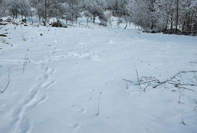 Spațiu comercial, în Central - 5
