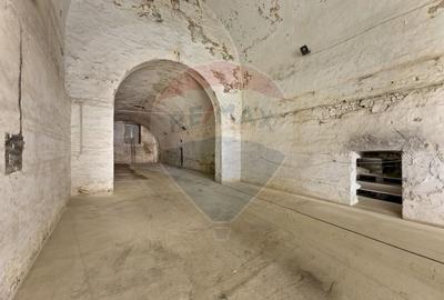 Spațiu comercial, de 500 mp, în Aradul Nou - 2