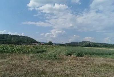 Cota de 1/2 din teren 2356 mp om. Mihaesti, jud Valcea - 1