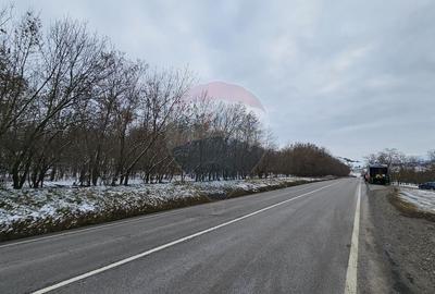 Teren 10,000mp Radaseni / Soseaua DN2-E85, judetul Suceava - 2