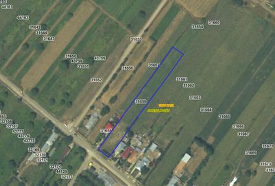 Teren intravilan de 4077 mp, în Vadu Pașii - 2