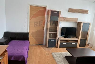 Apartament cu 2 camere de inchiriat in zona Cornisa - Piata Sud - 2