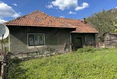 Casă cu 3 camere cu Teren 1000 Mp în Vulcan - 7
