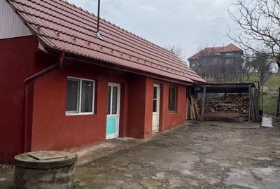 Casa de vanzare cu mansarda si gradina Casa de vanzare cu mansarda si gradina - 6