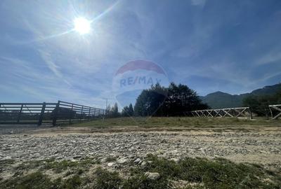 Teren Construcții intravilan de 850 mp, în Tohănița - 1