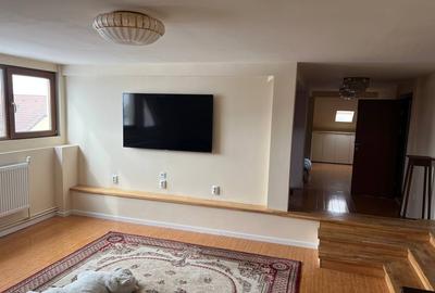 Moara Vlasiei, Particular, unica in zona, vila cu 9 camere, 7 bai, 2 garaje - 16