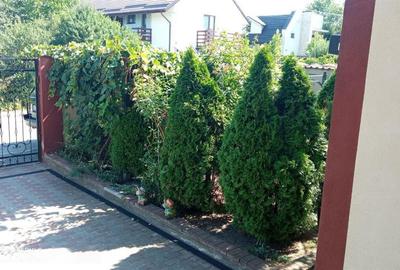 Apartament cu 3 camere decomandat, mobilat în Central - 2