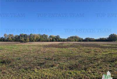 SUPER-PRET Teren 1ha intravilan intre A0, padure si raul Sabar - 2