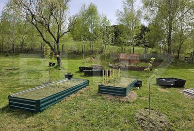 Casă cu 5 camere cu Teren 1789 Mp în Central - 11