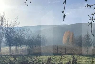 Casa de vacanta in Lisnau - Comuna Ozun - 2