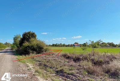 Terenuri intravilane 2880 mp Cermei fs.48 ml - 6350 euro - 1