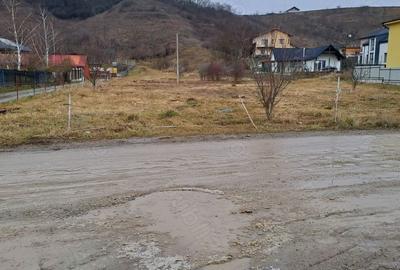 Teren de 6874 mp, în Sub Coastă - 2
