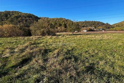 Bocsa Teren Intravilan 2754 Mp. - 2