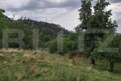 Proprietate in Iara 6.000  teren, ideala pentru casa sau investitie - 11