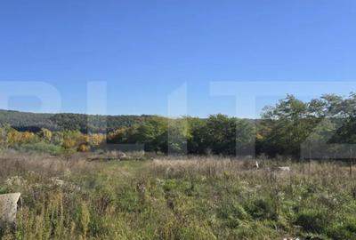 Casă cu 2 camere cu Teren 2397 Mp în Sud - 3