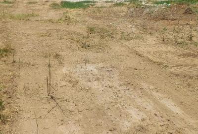 Teren Theodor Pallady Stradal 3500 Mp New 2025 - 3