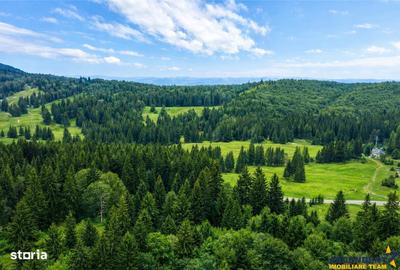 Spațiu comercial, în Poiana Brașov - 3