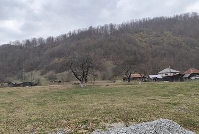 Teren de 1795 mp, în Remeți - 4