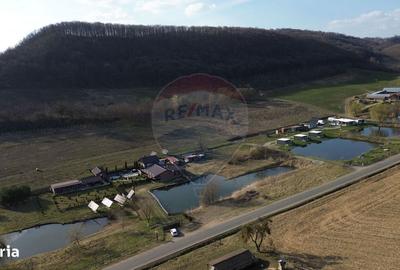 Spațiu comercial, în Laslea - 7