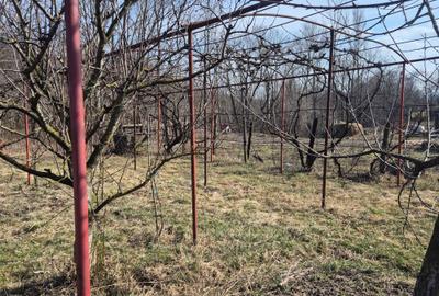 Casă cu 3 camere în Preutești - 4