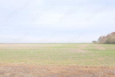 Teren de 270000 mp, în Gherghița - 2