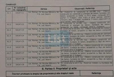 Spațiu comercial, de 8,120 mp, în Roman - 2