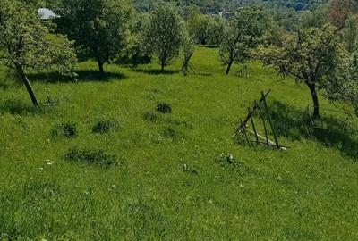 Vand casa ?i teren in Valea Doftanei. - 3