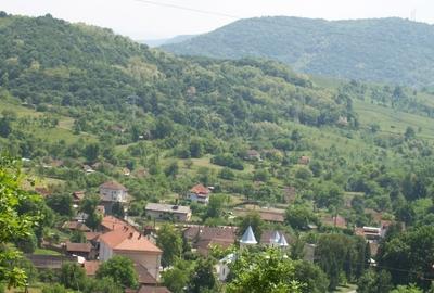 Vad casa la tara - 2